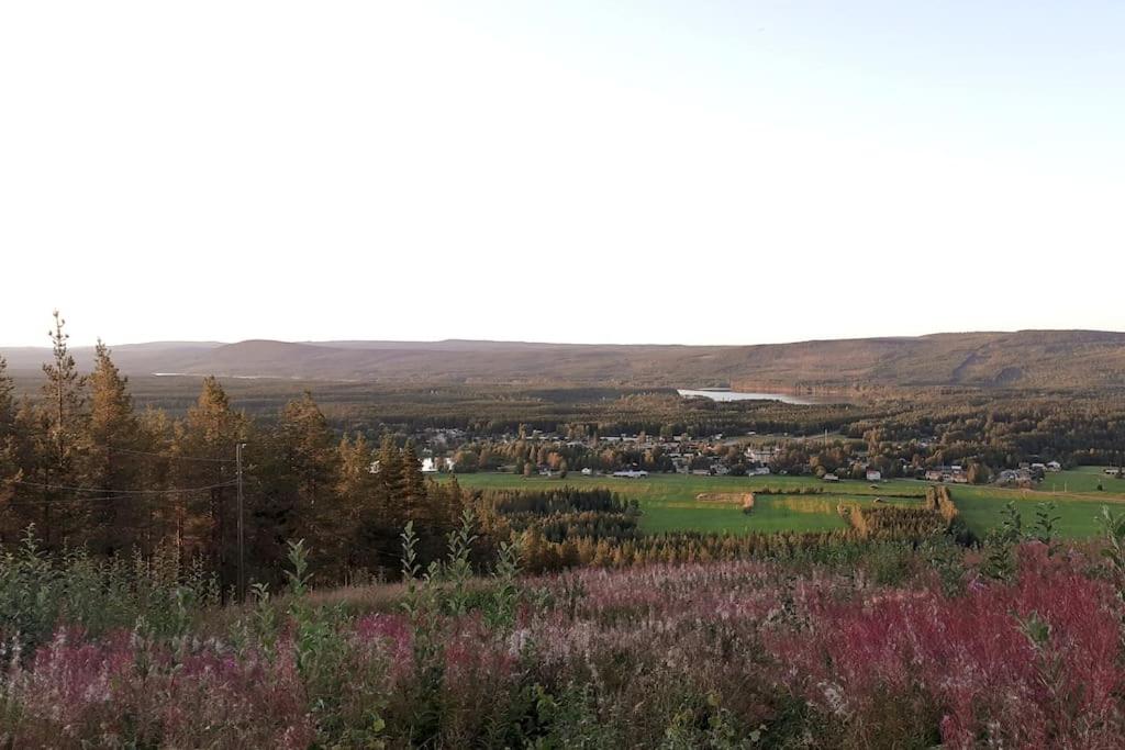 Northern Lights Lappland view 5