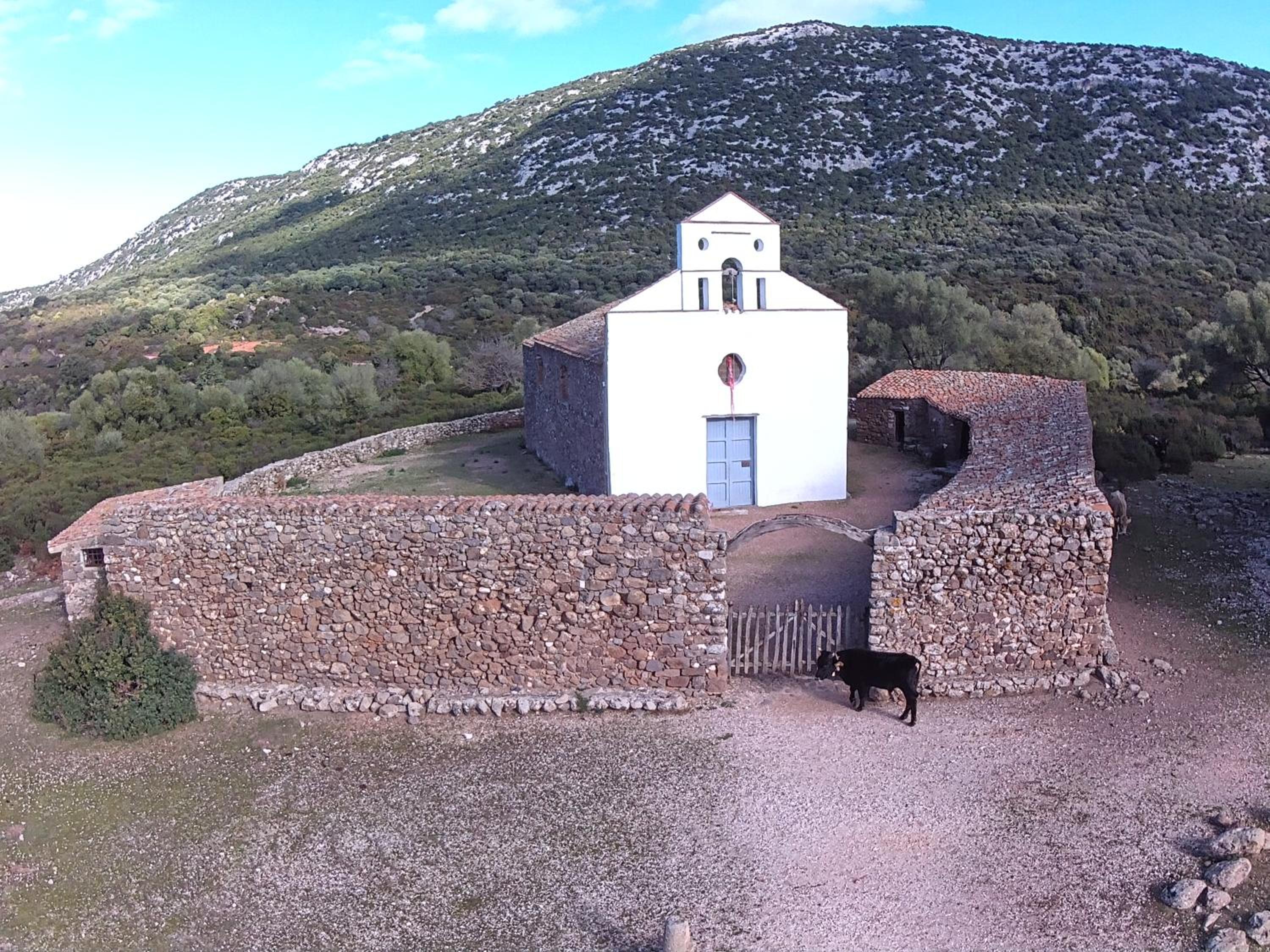 Photo 25