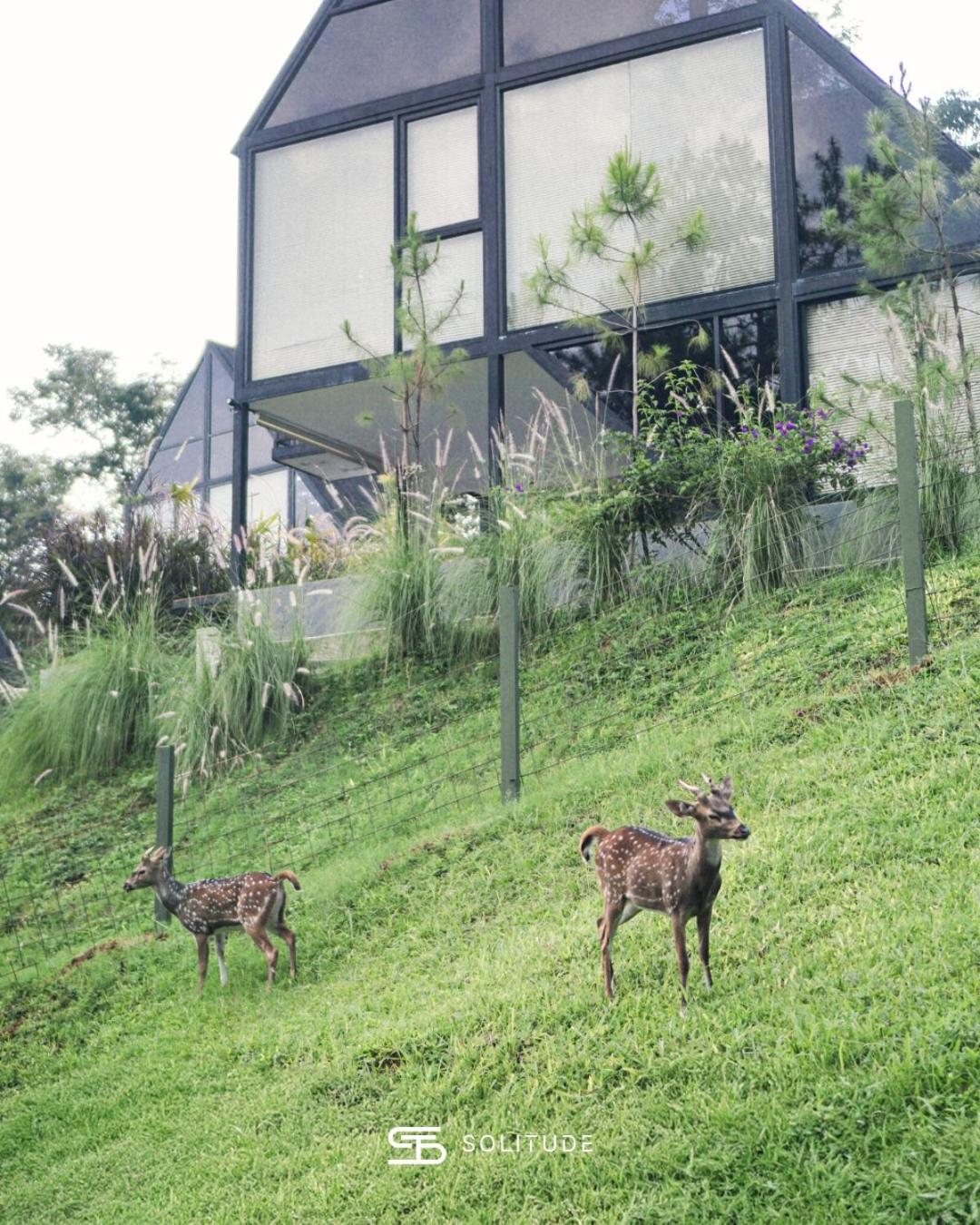 Solitude Tahura Villa Bandung