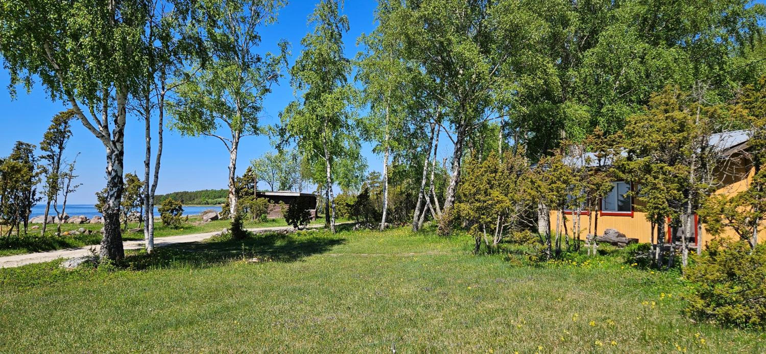 Trammi Maja