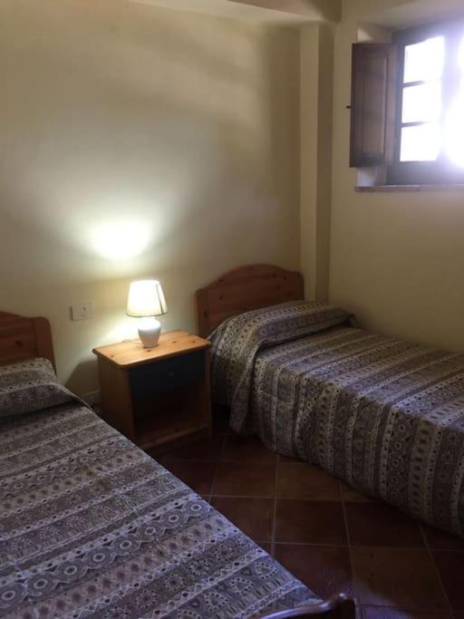 Cozy home in countryside Asciano Siena -renovated! view 4