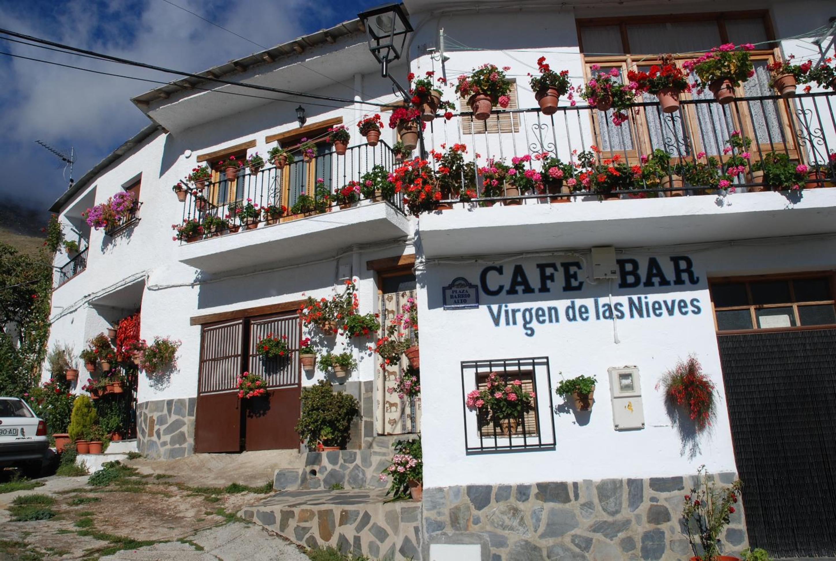 Cortijos Rey Fini