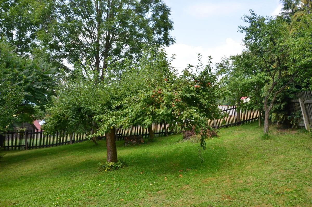 Photo 24