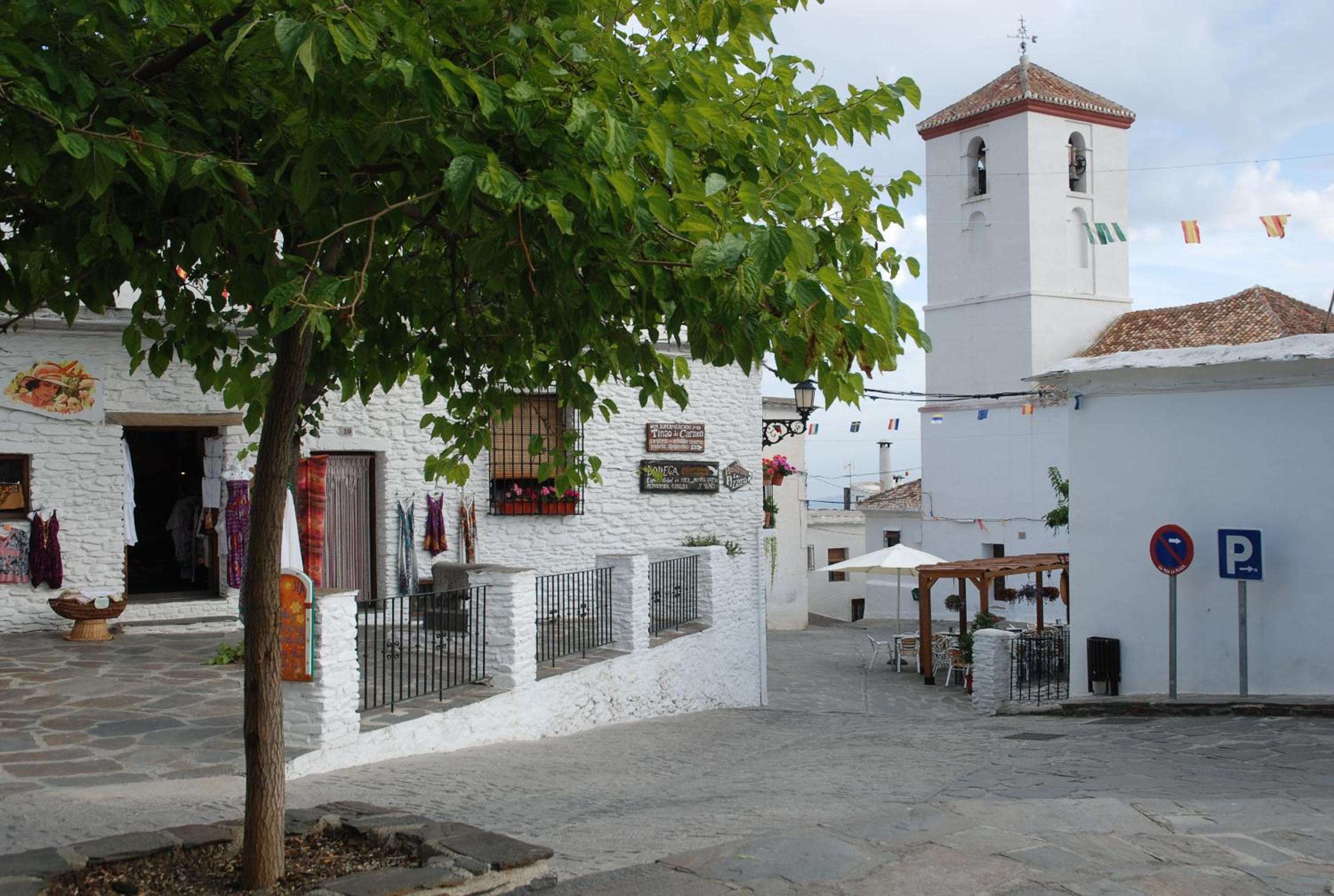 Cortijos Rey Fini