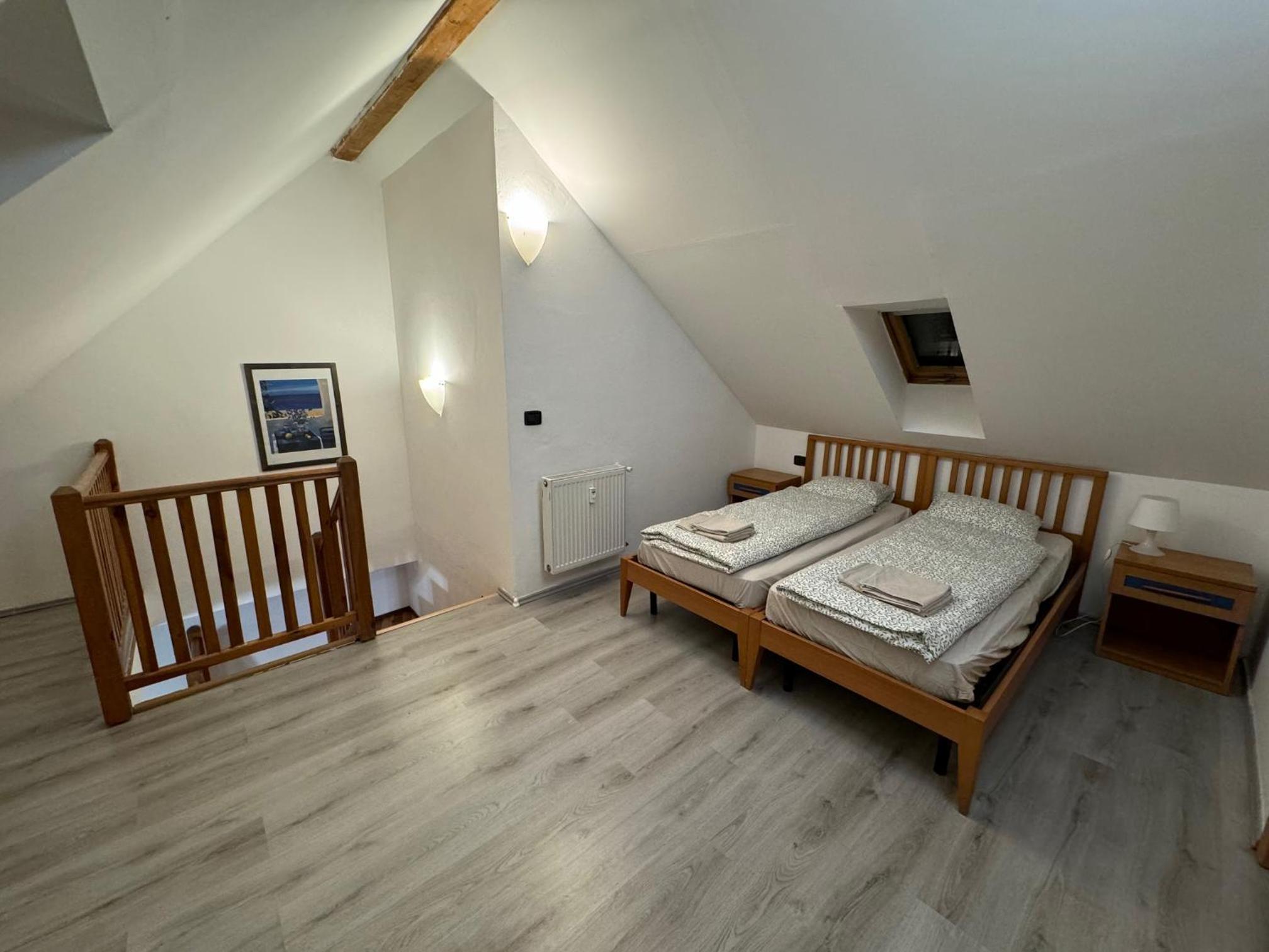Vitkova Duplex apartment with terrace near Florenc