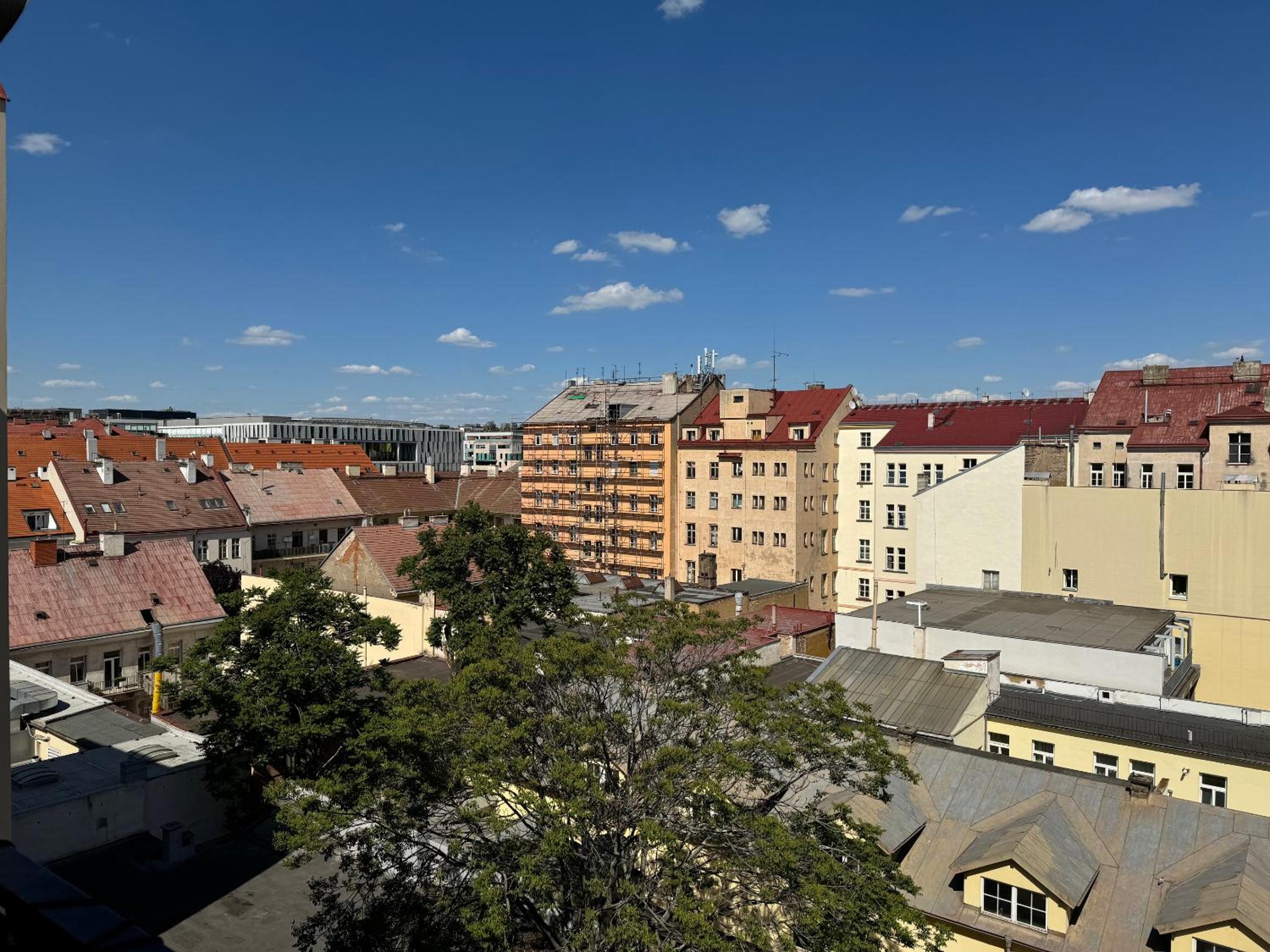 Vitkova Duplex apartment with terrace near Florenc