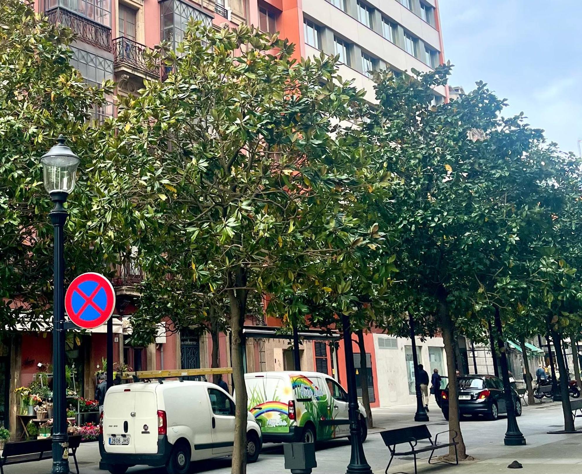 EL MIRADOR DEL CENTRO