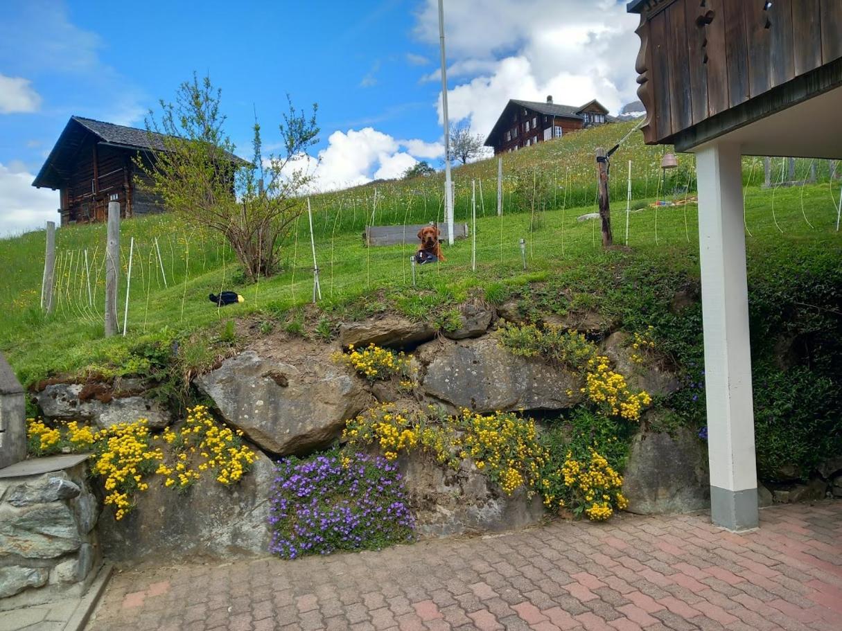Chalet Pfyffer - Mountain view view 3