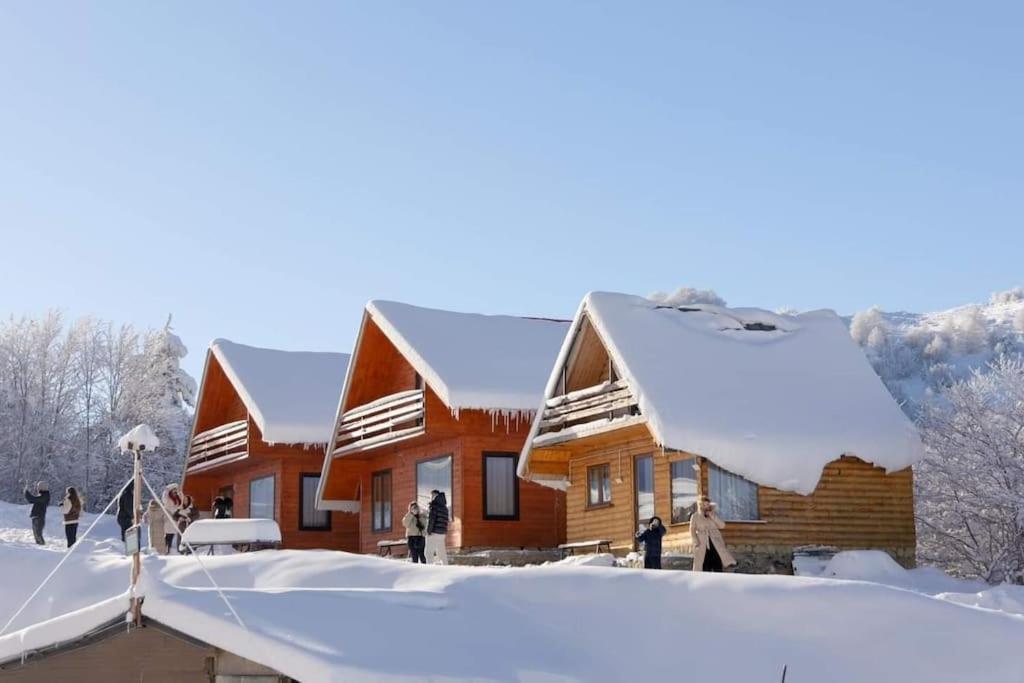 Villas Ski-Pista Bigell Dardhe