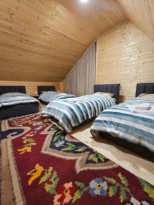 Villas Ski-Pista Bigell Dardhe