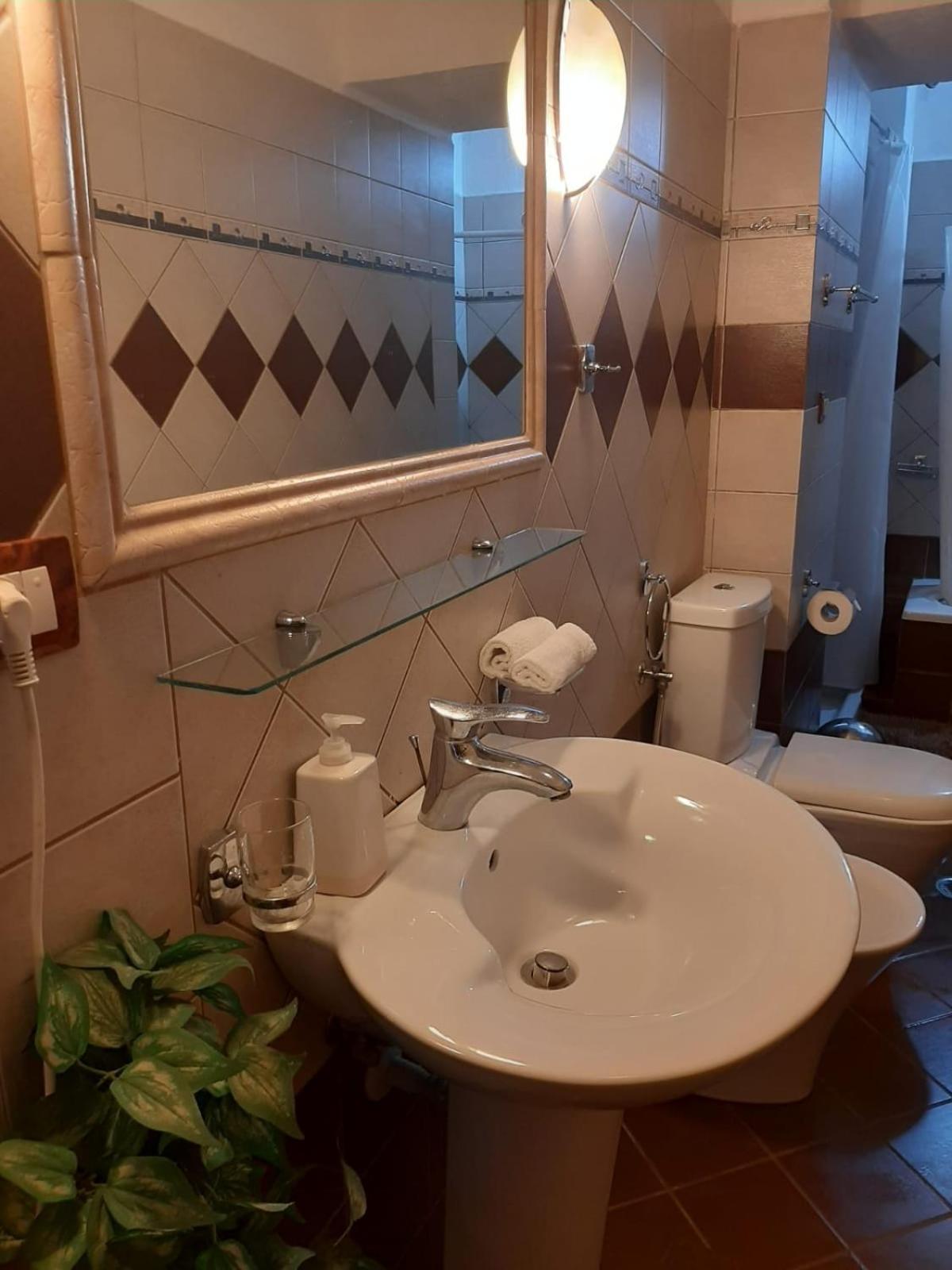 Sofia's modern apartment