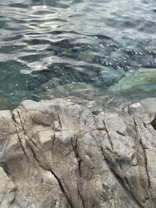 Cilento Casa Vacanza Giuvino