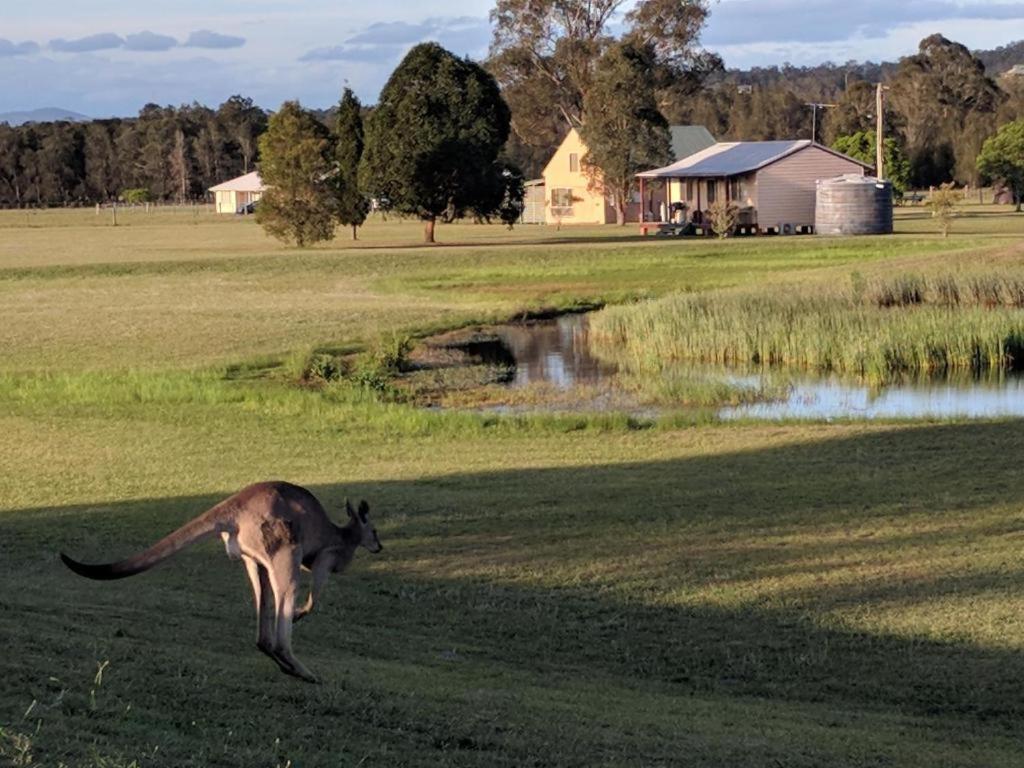 Madigan Cottages - The Kookaburra Cottage