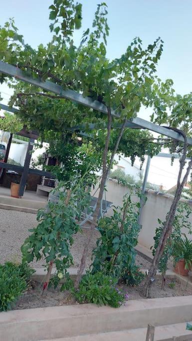 Casa Jessy