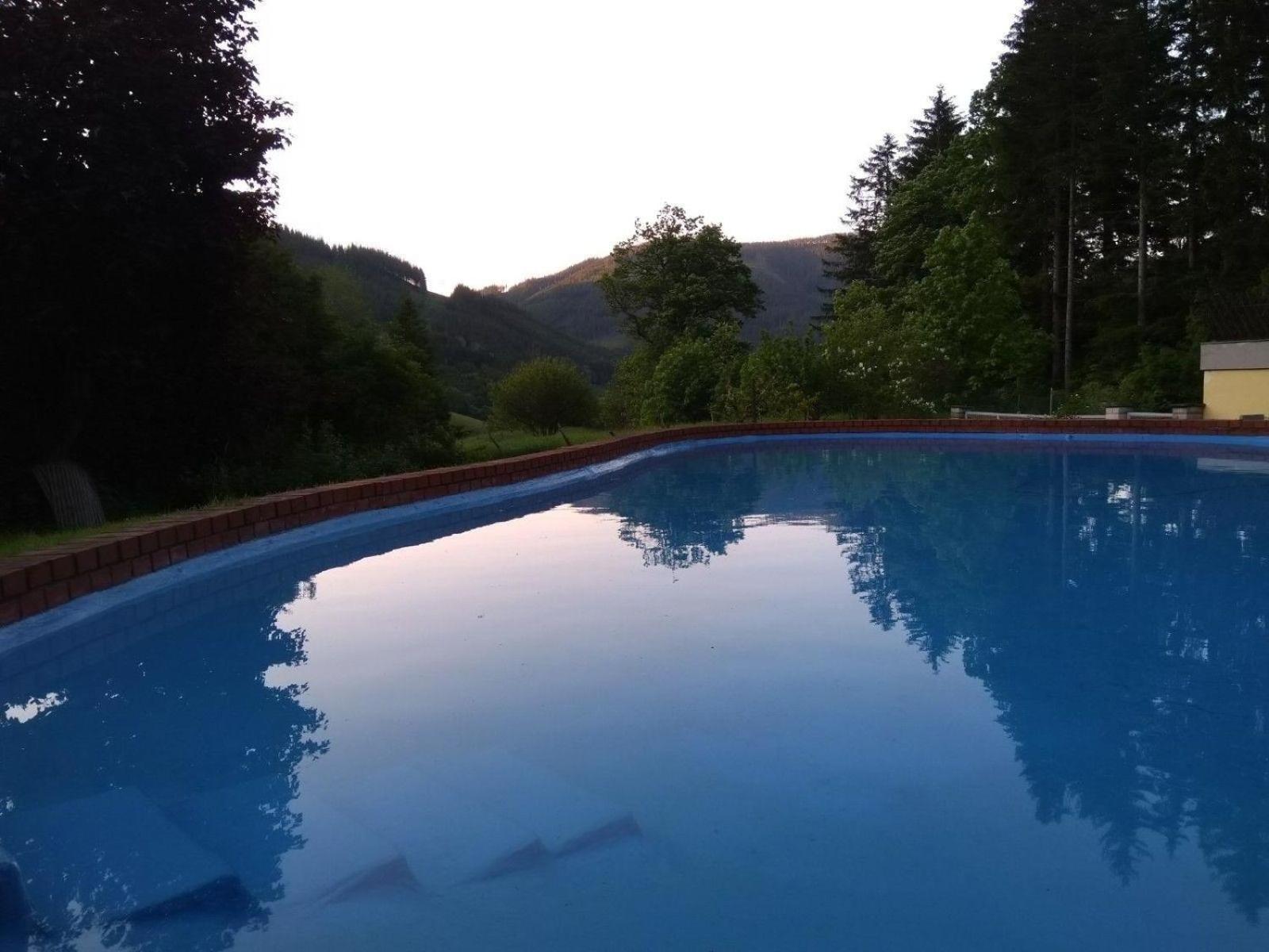 Charmantes Ferienhaus in Vordernberg mit Privatem Pool