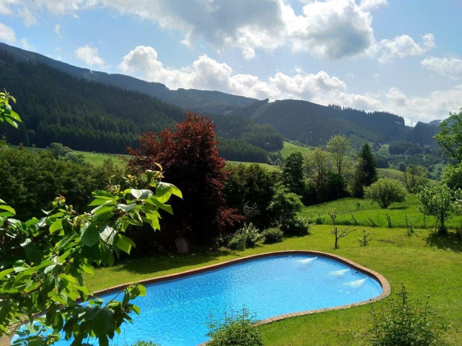 Charmantes Ferienhaus in Vordernberg mit Privatem Pool