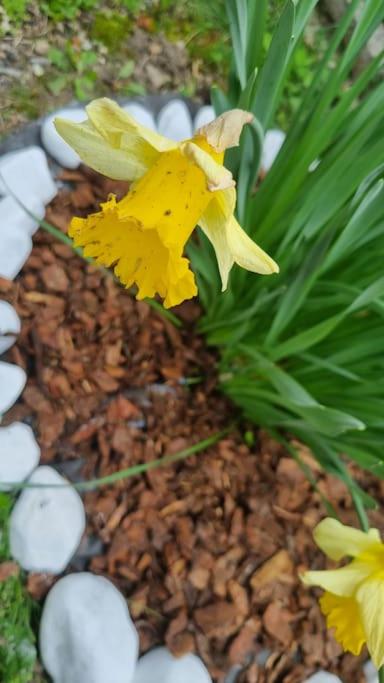 Photo 44