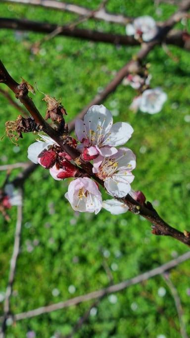 Photo 49