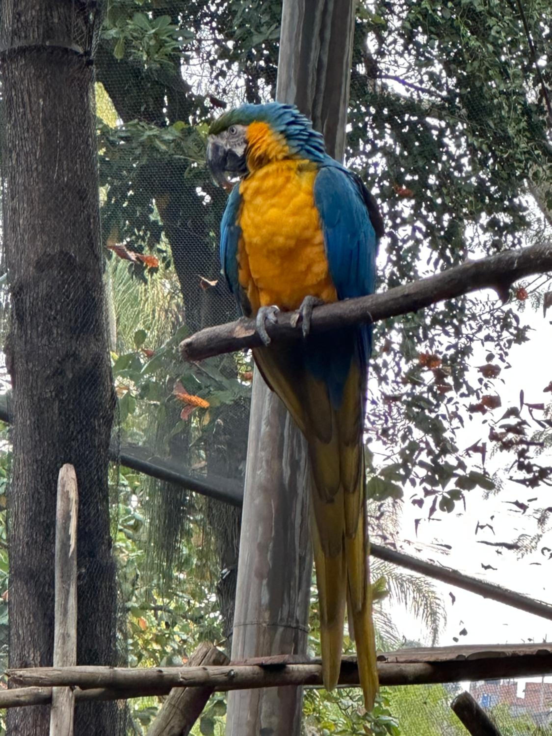 O mais queridinho Rio de Janeiro