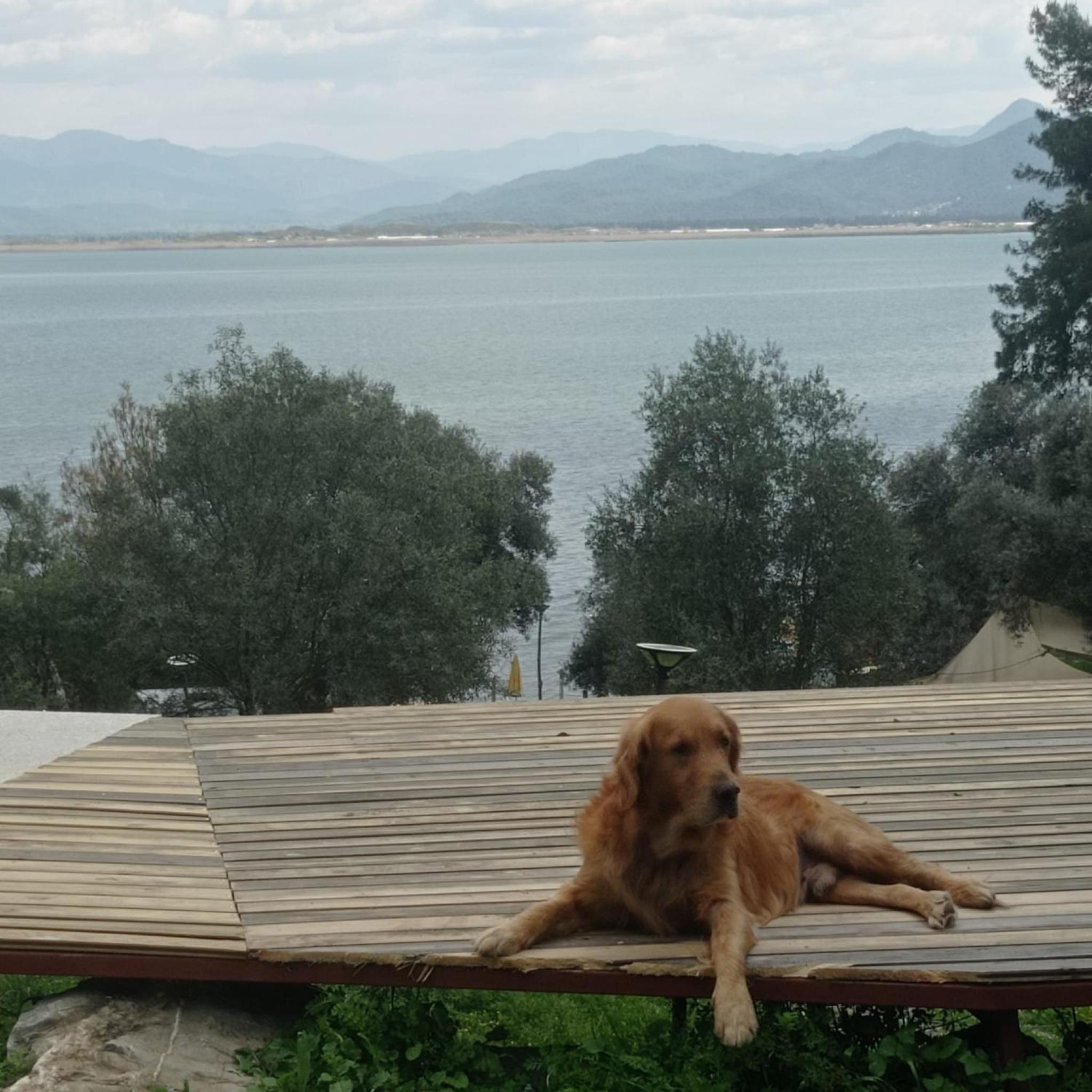 Eses Camping bungalov