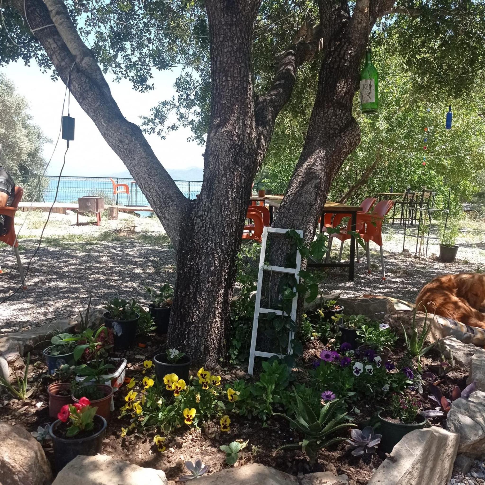 Eses Camping bungalov