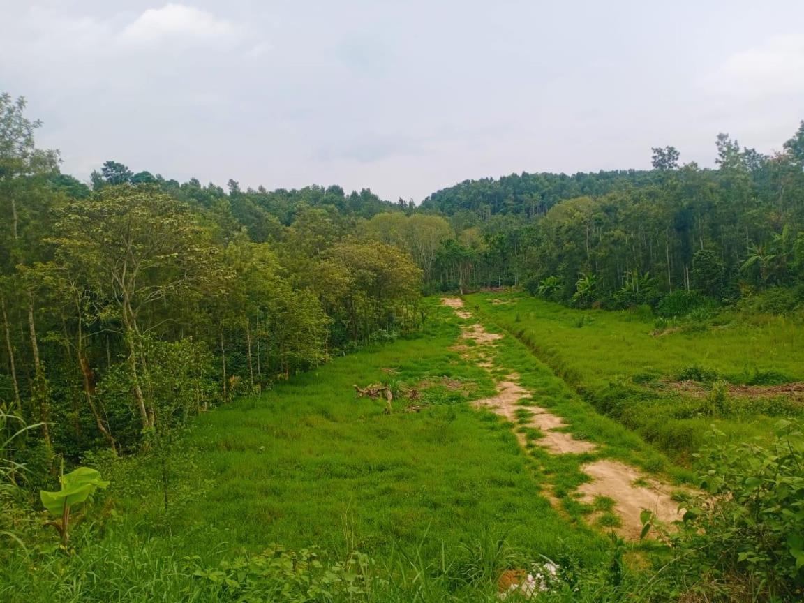 Coffee Country Homestay view 3
