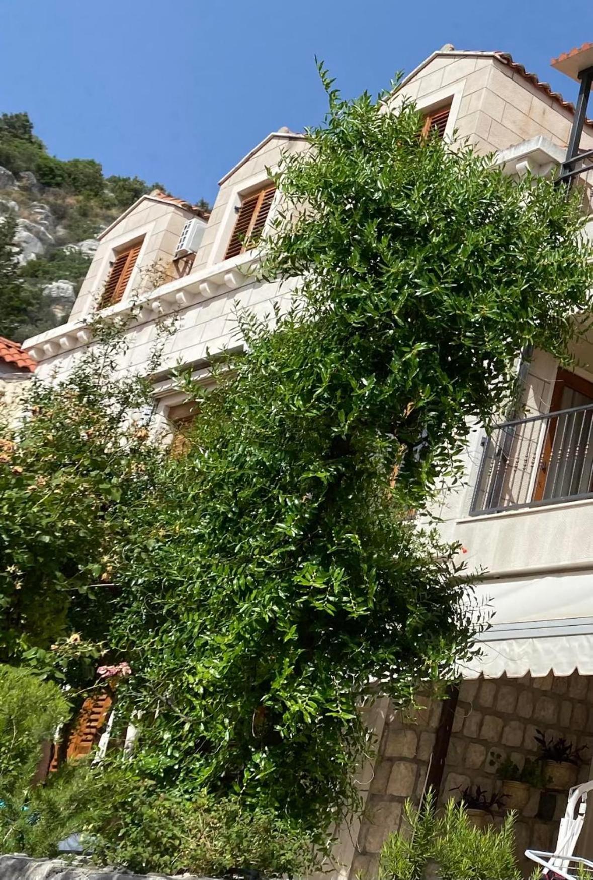 Green Sea Villa - Wild Orange Dubrovnik