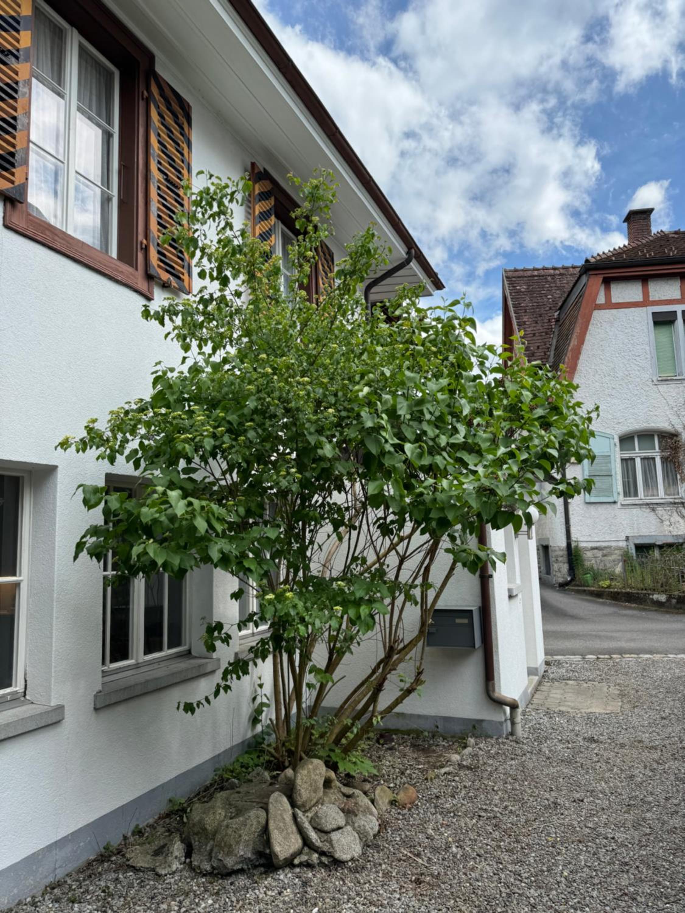 Garden House