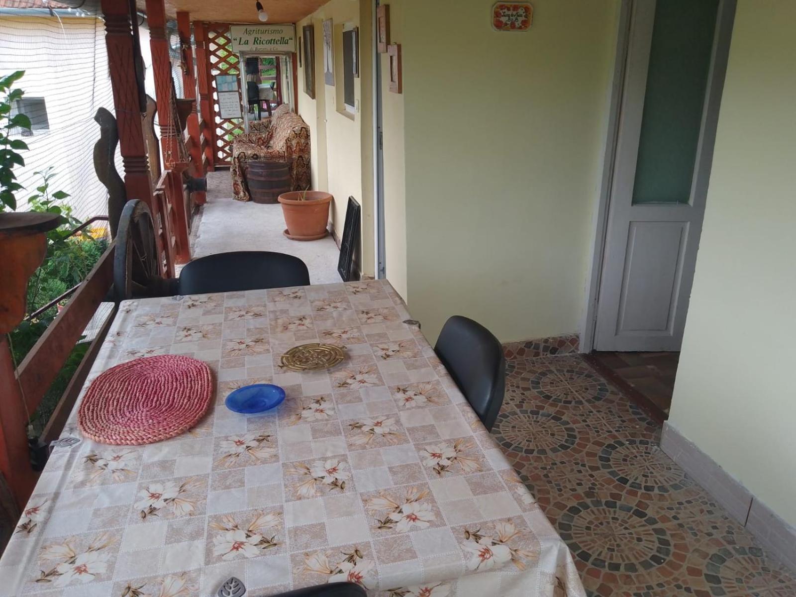 Photo 14