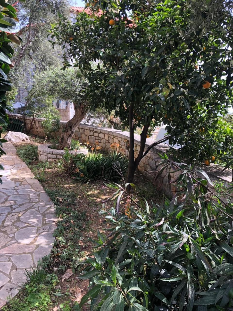 Villa Amanda