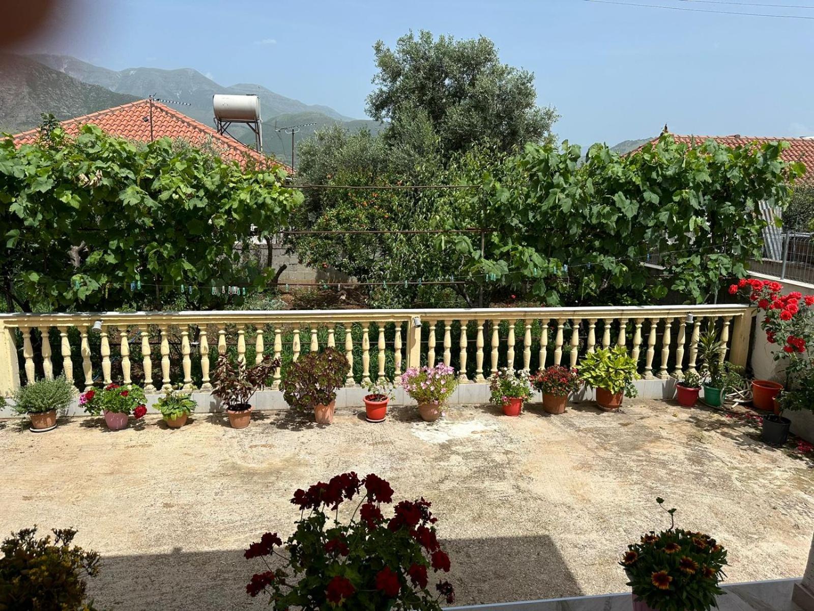 Santi's Villa photo 2