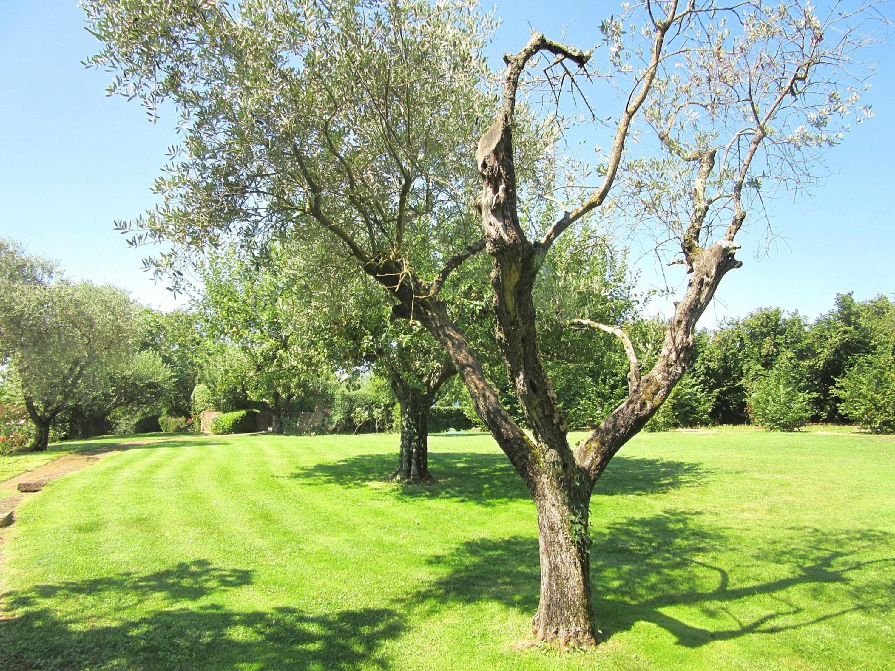 Photo 47