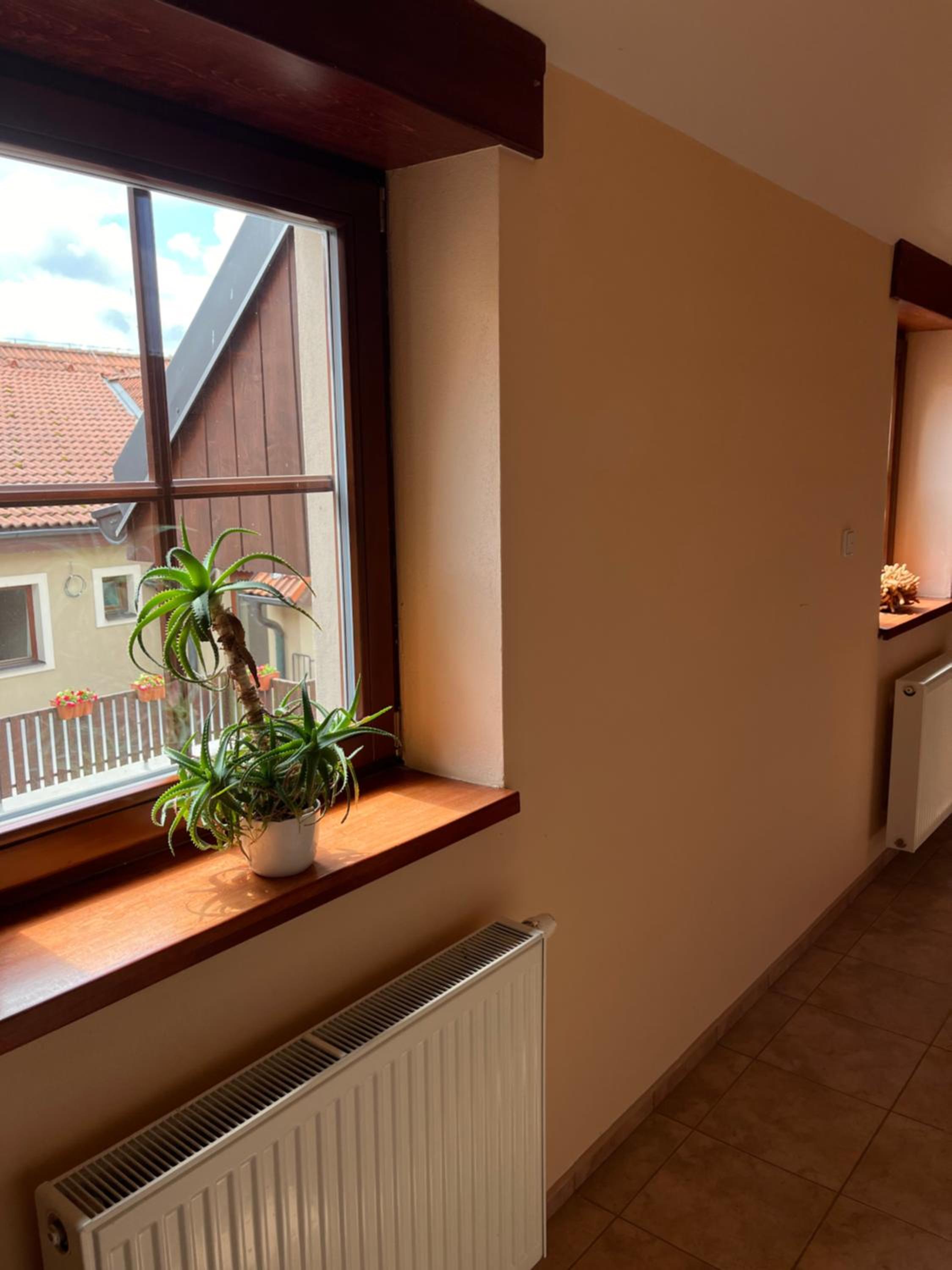 Pension U Lyžaře