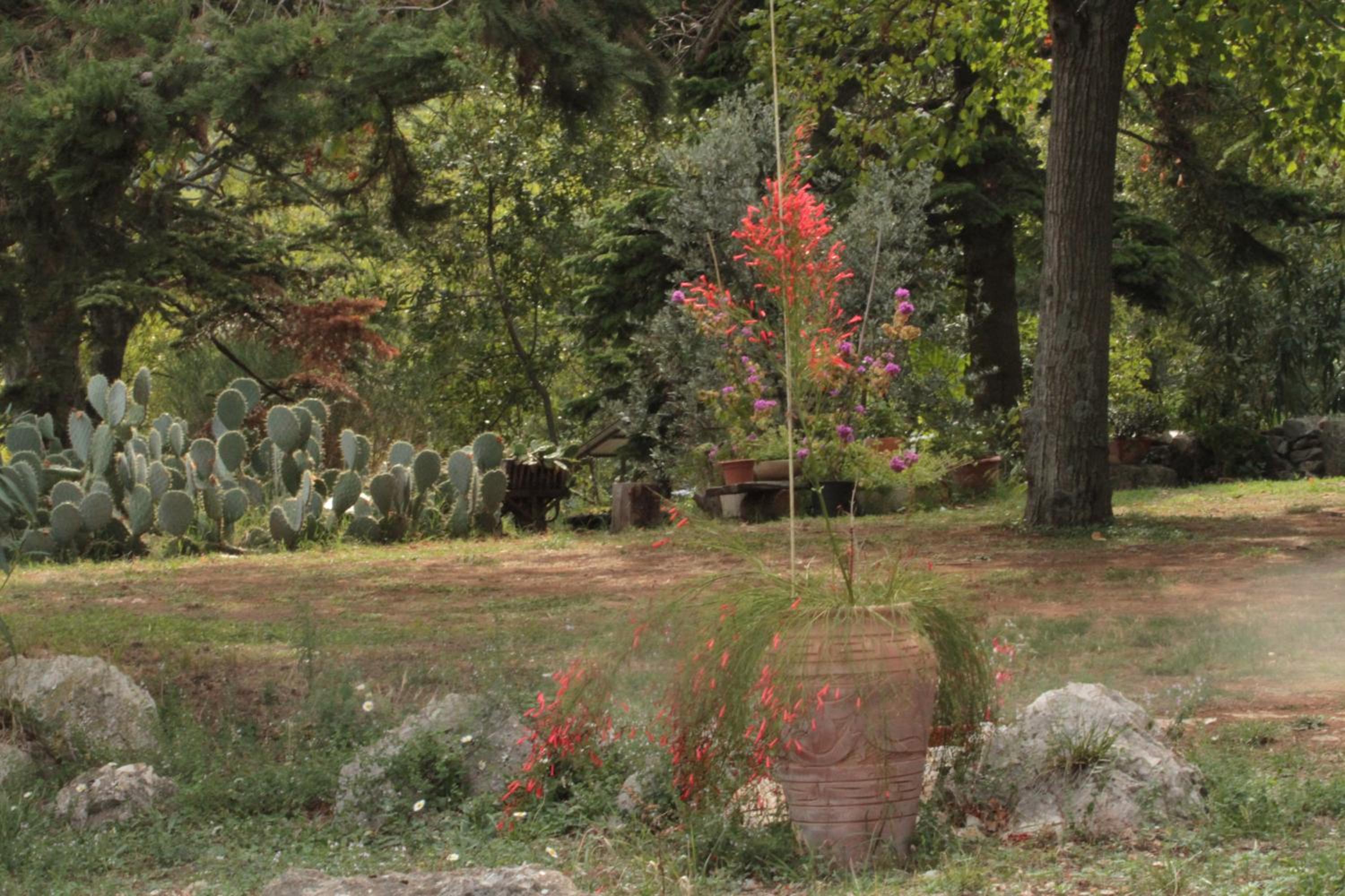 Photo 49