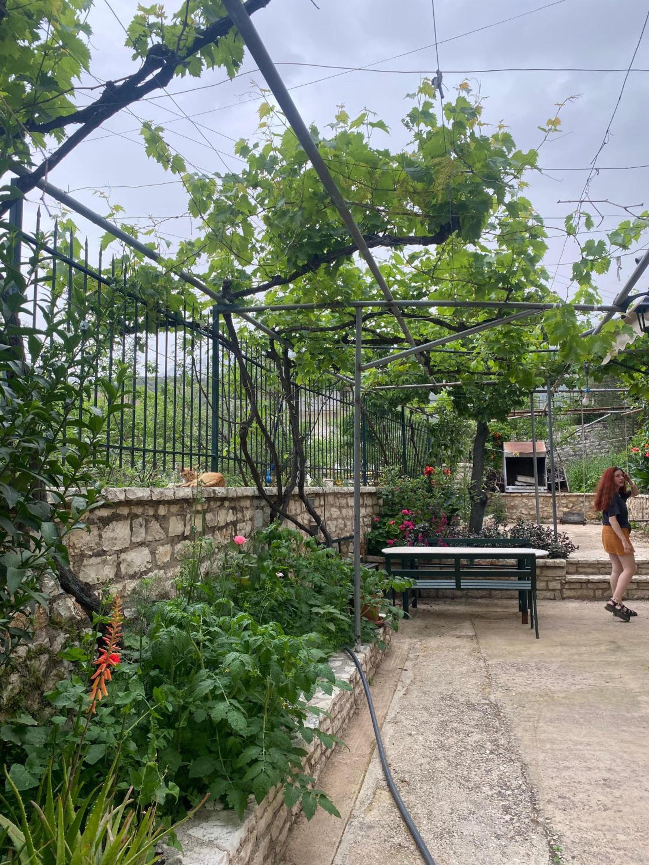 Oasis Hostel