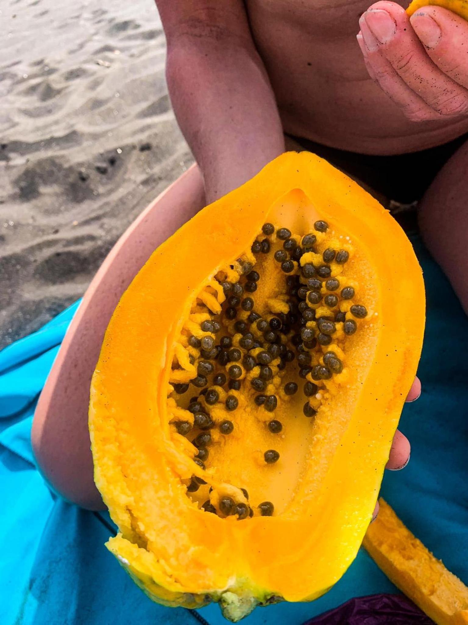 Kaza Papaya - Papaya House