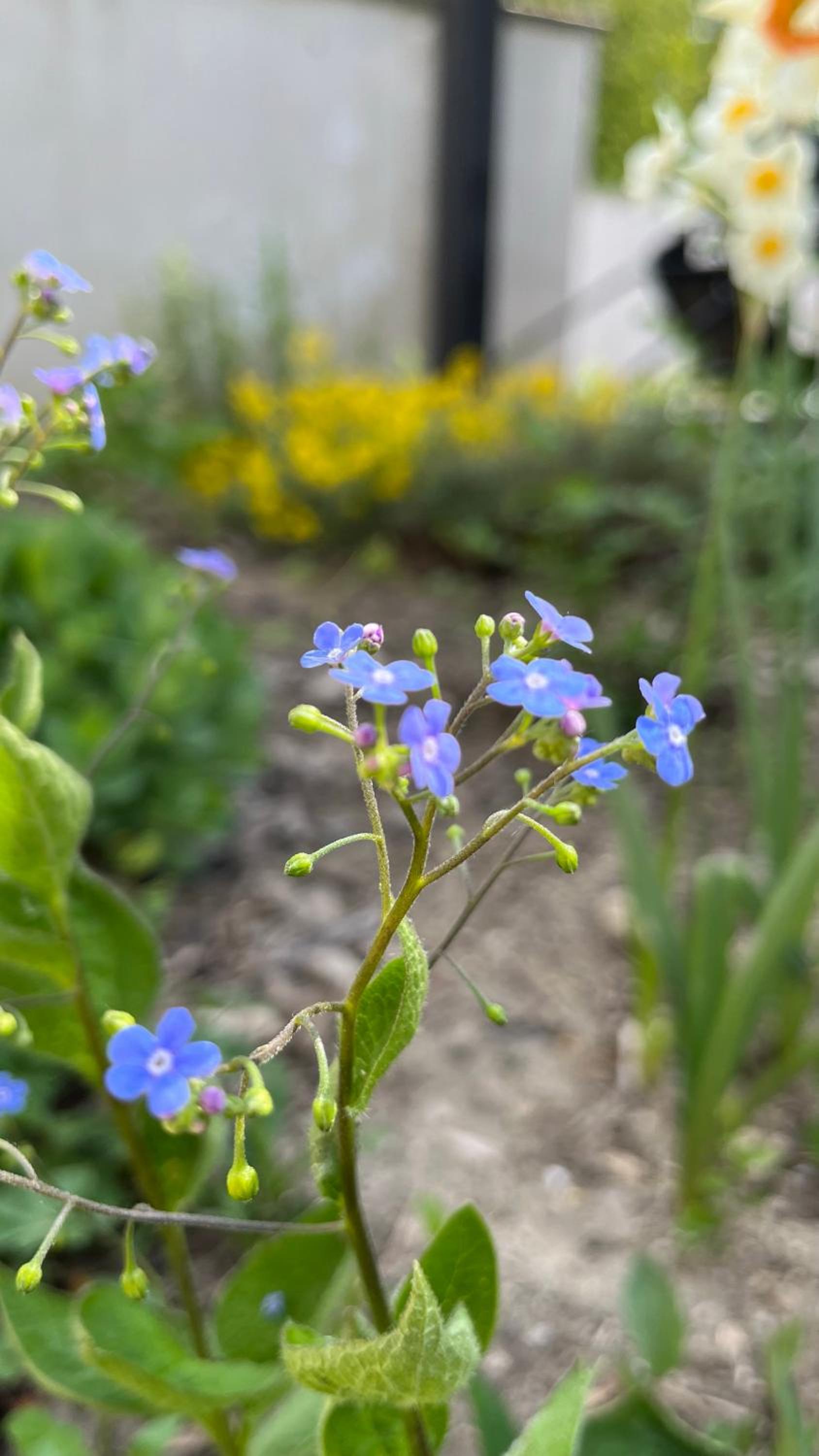 Photo 53