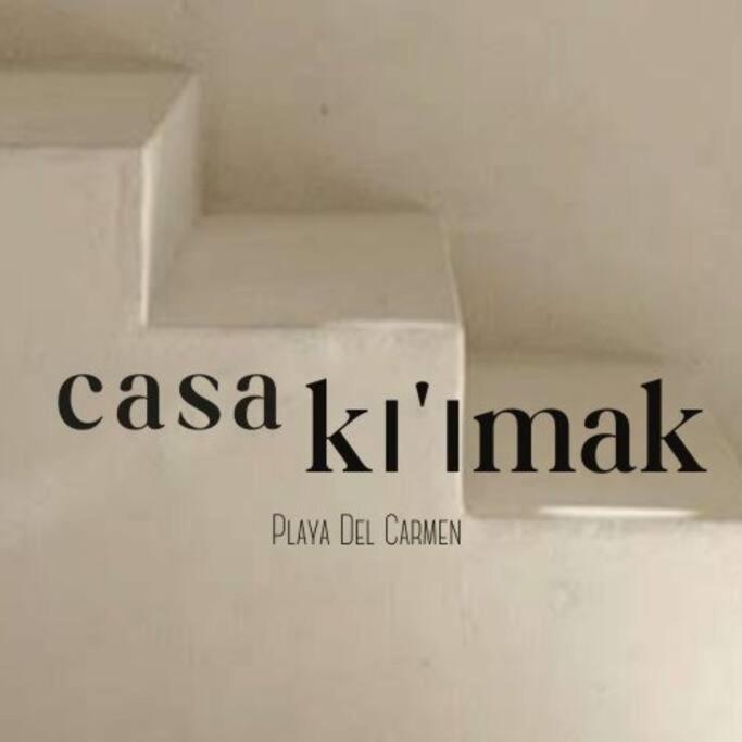 Photo 51