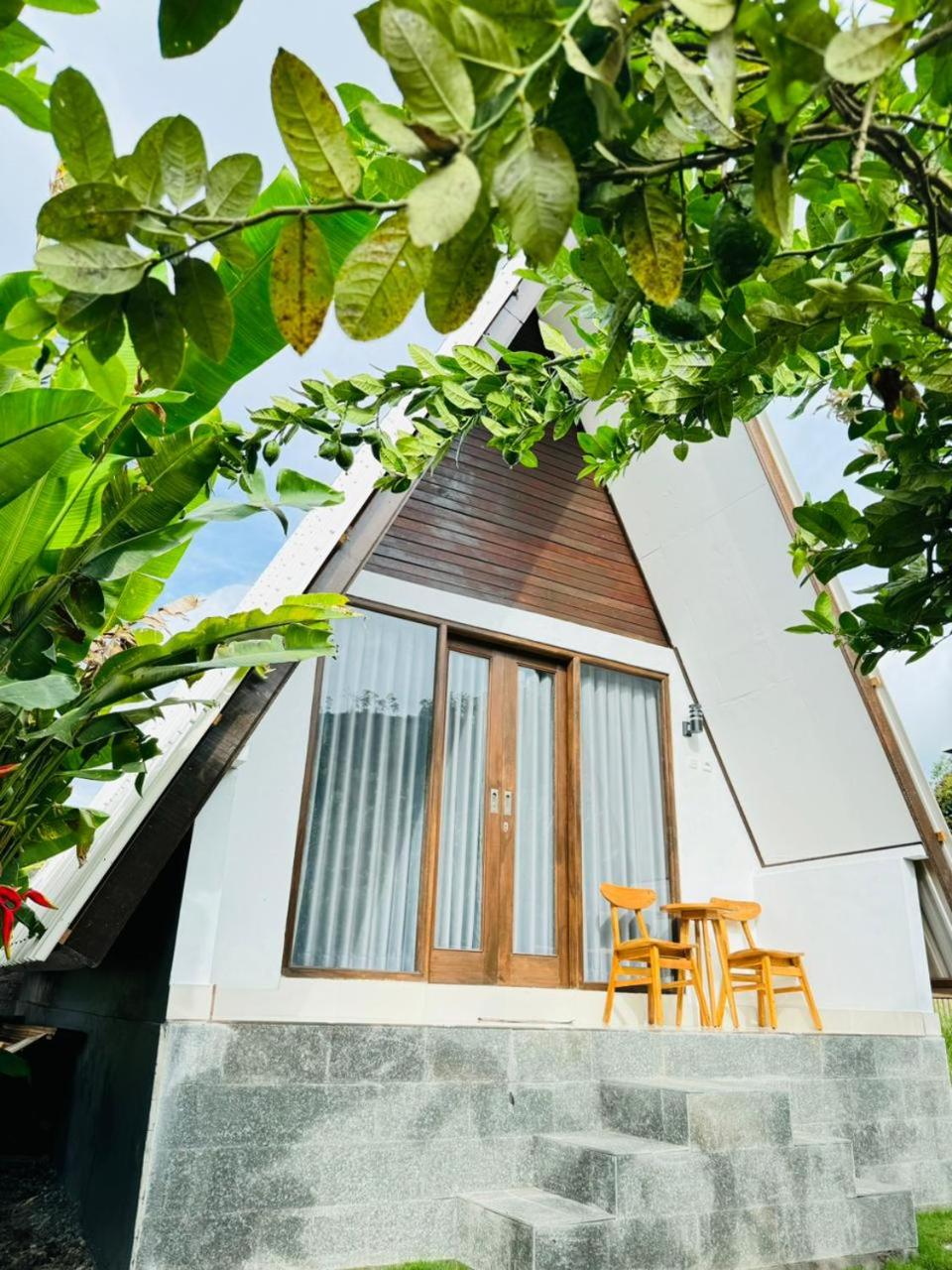 Volcano White Glamping view 4