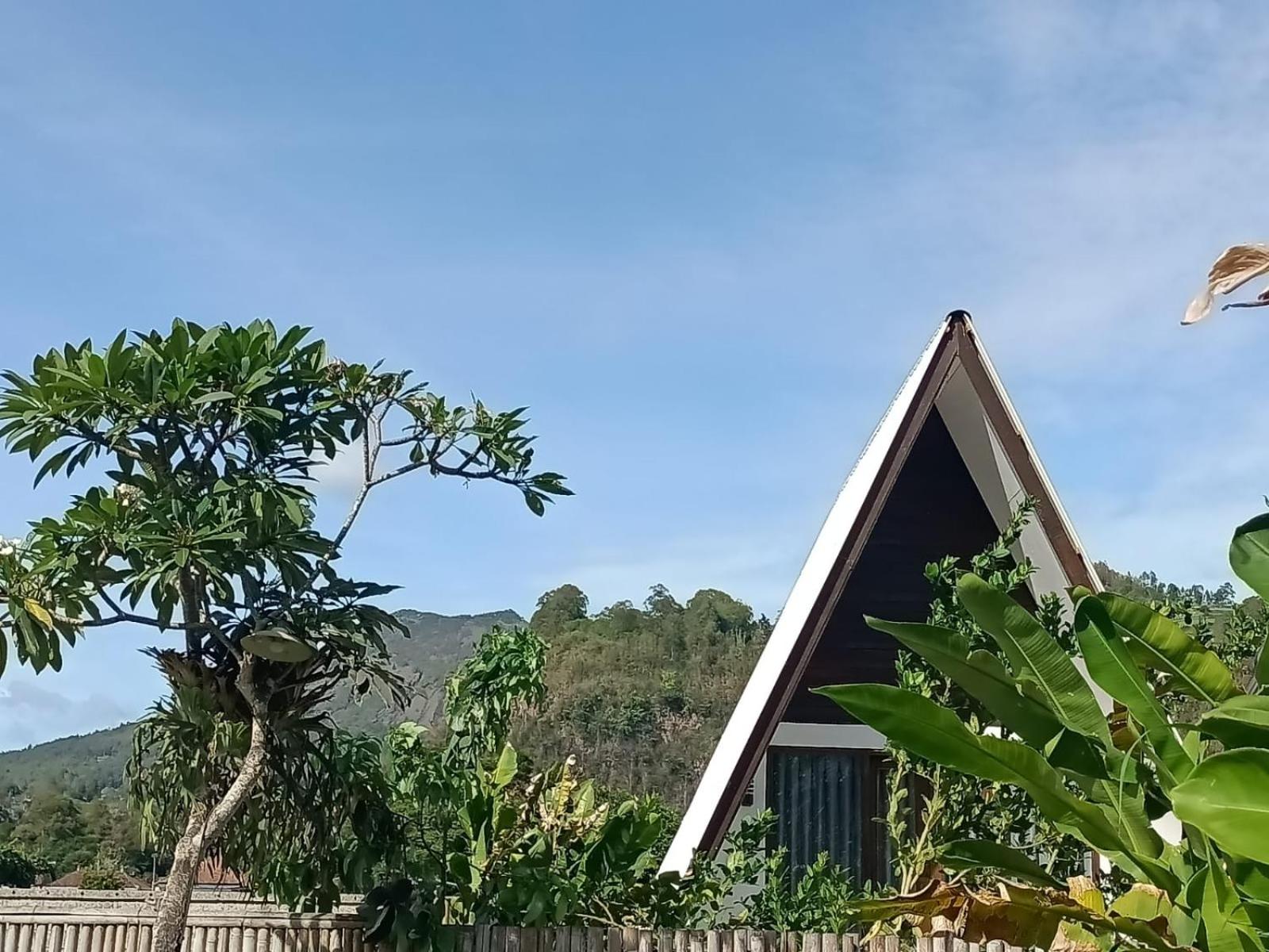 Volcano White Glamping view 5