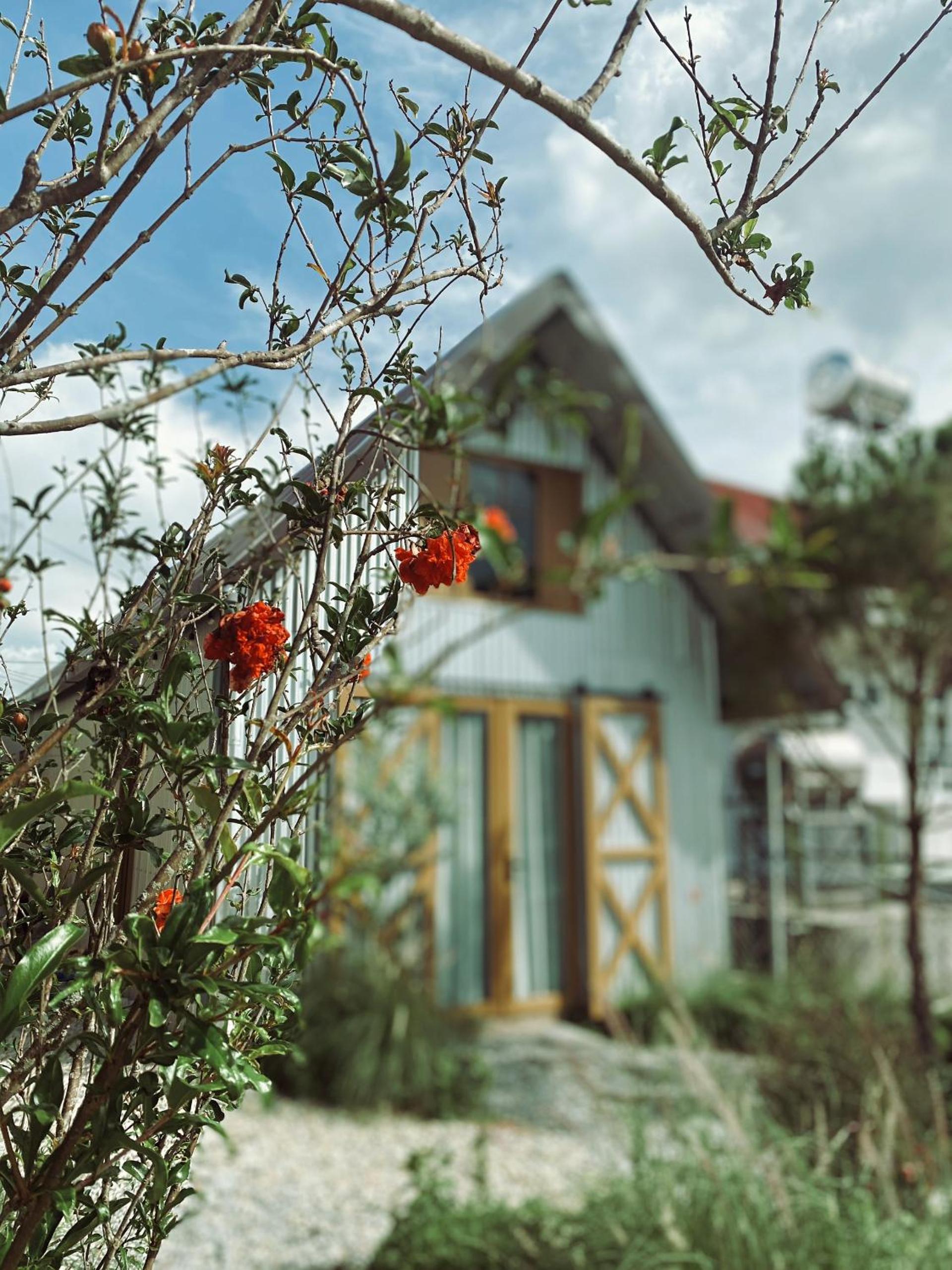 Pampas House view 4