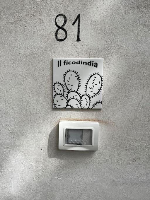 Il mio ficodindia photo 2