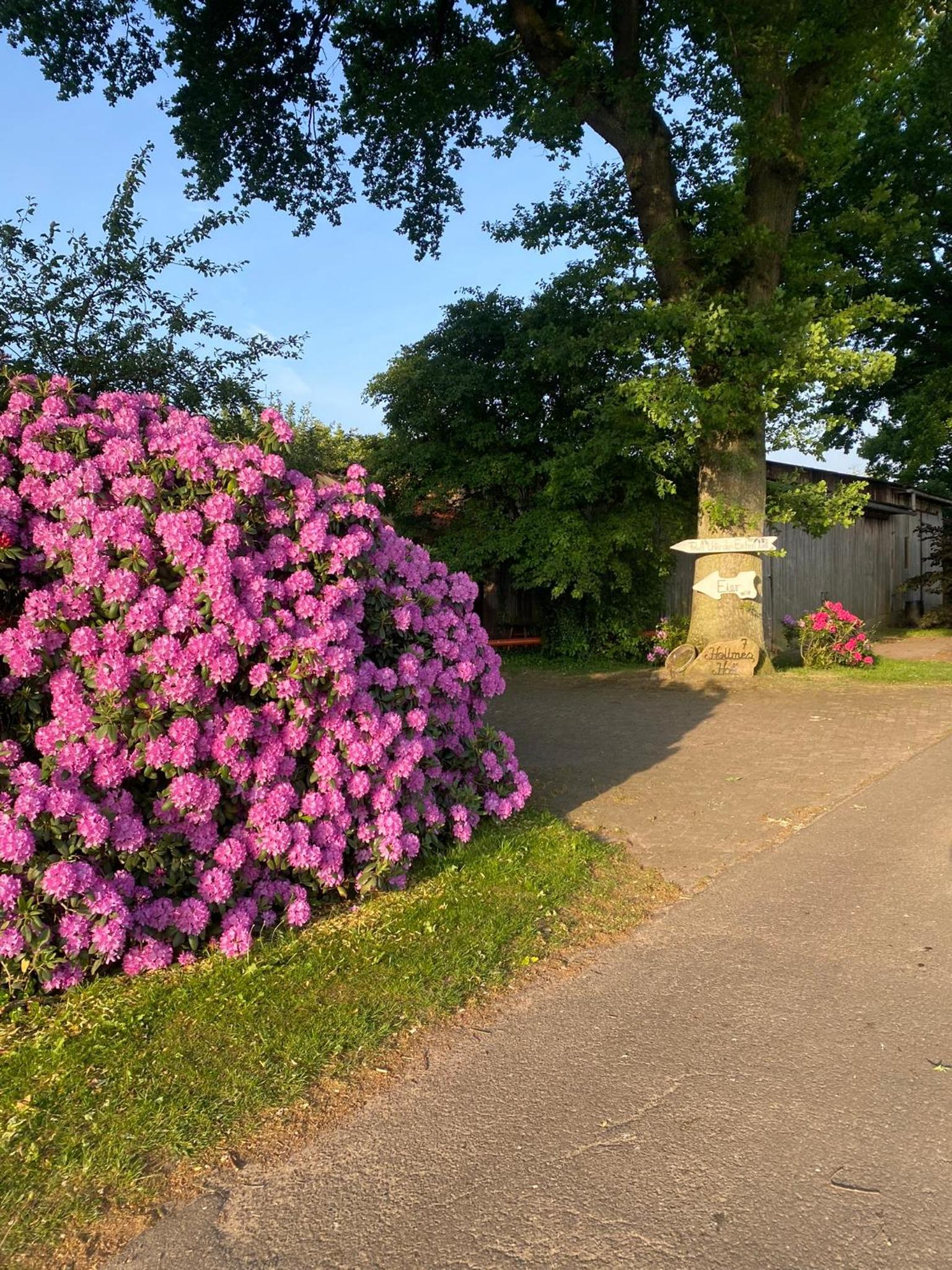 Unter Den Eichen