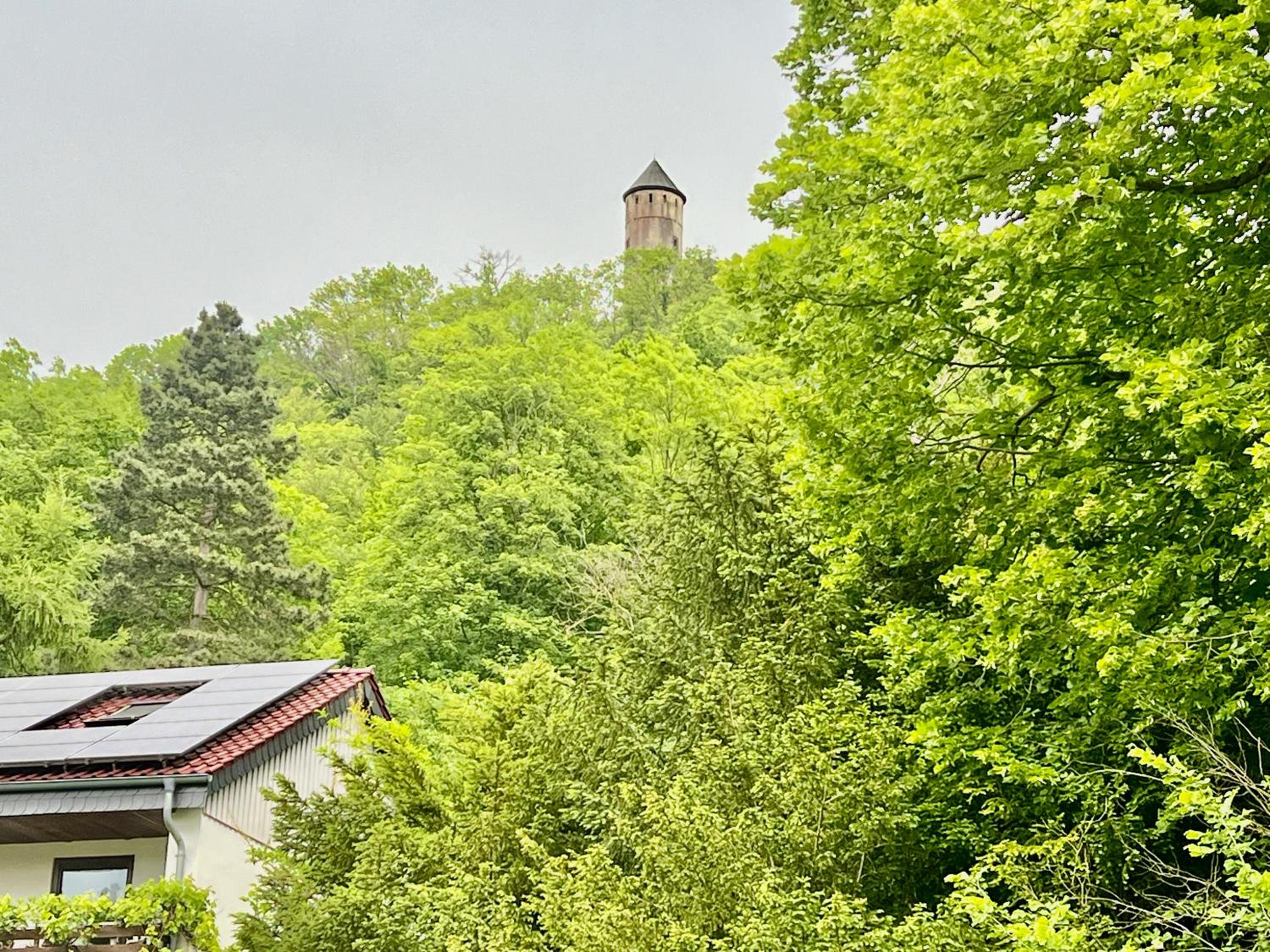 Villa Plesse - exklusiv und geräumig wohnen nahe Göttingen