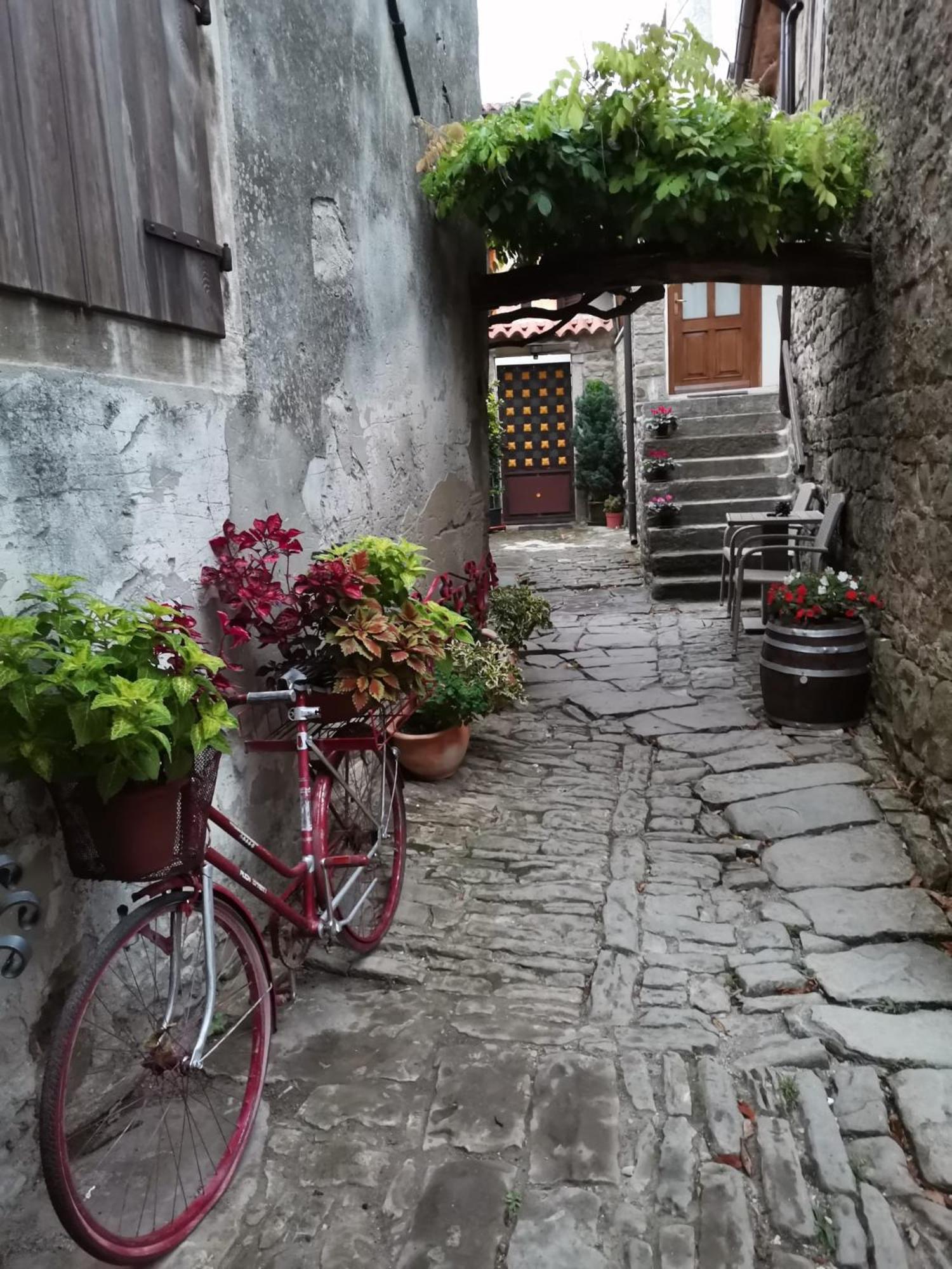 Photo 47