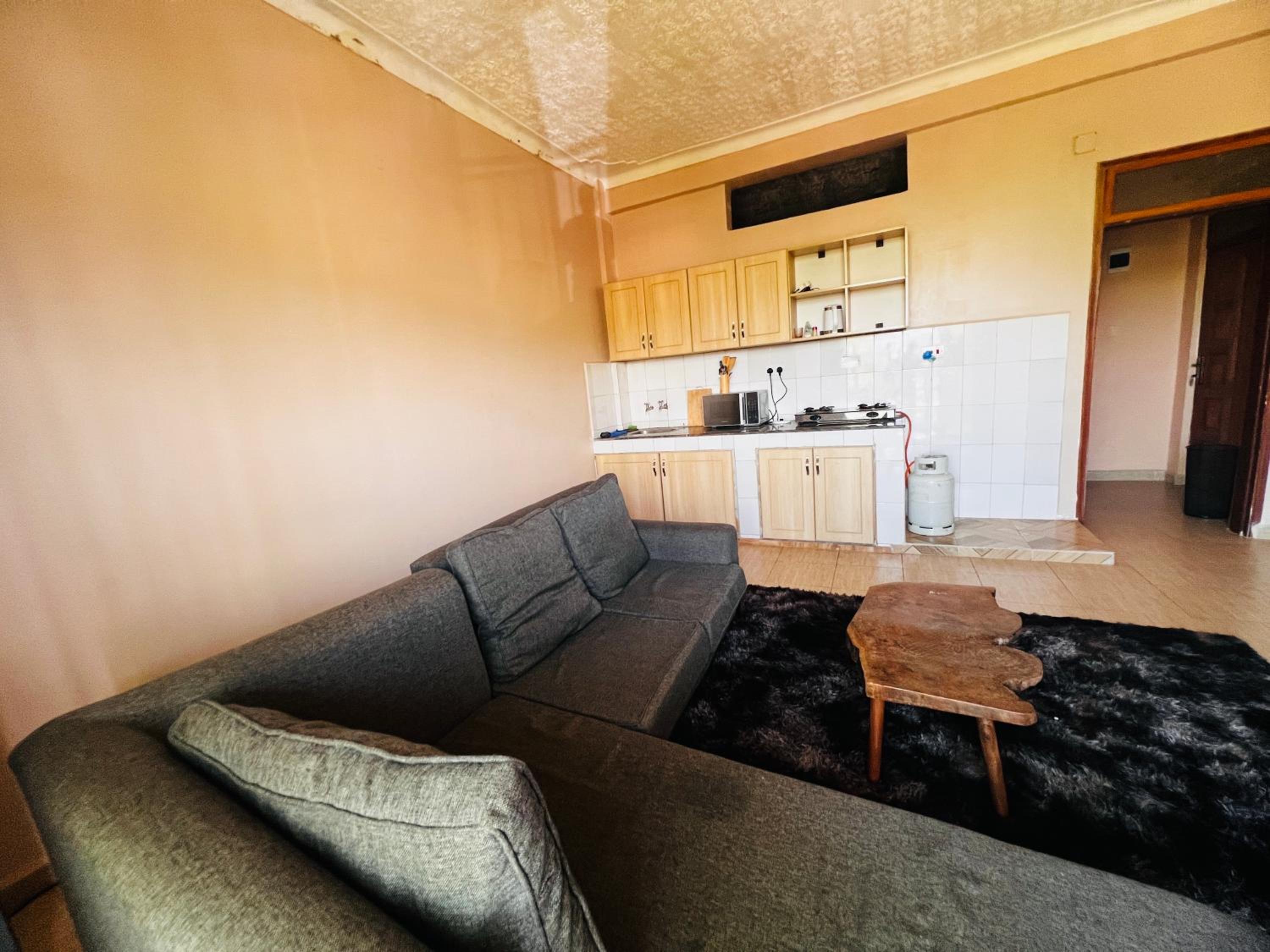 The home hive apartment view 4