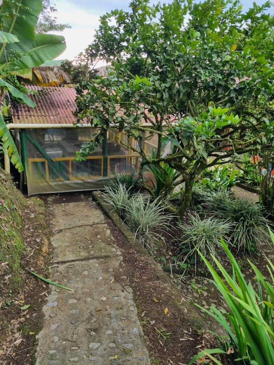 Finca la Divisa. Senderos de la Montaña