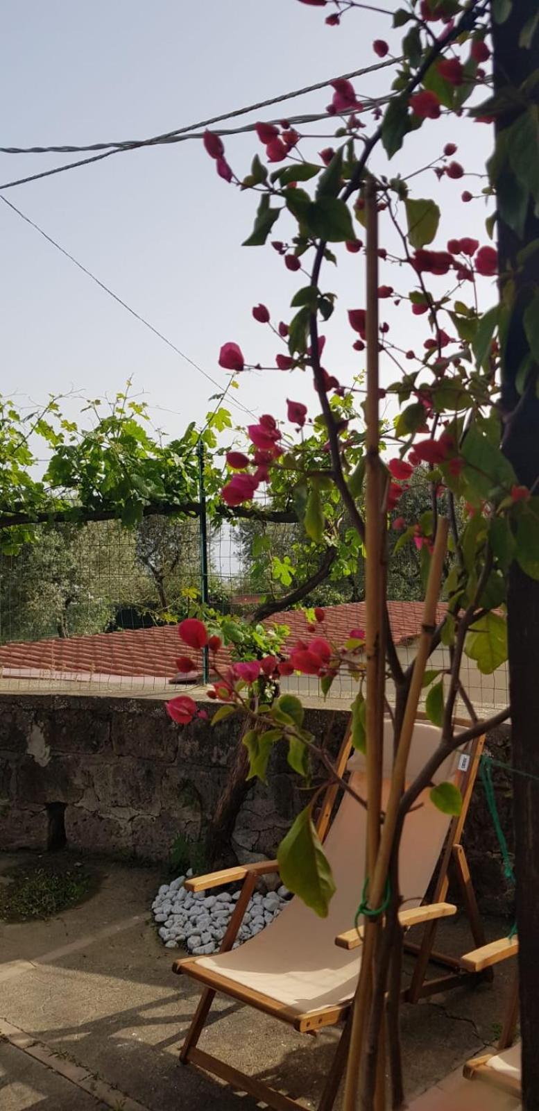 La Casina di Silvio photo 2