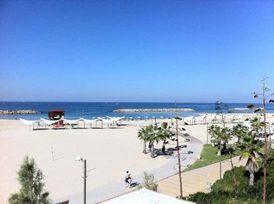 Elegant Beachside Apartment view 4