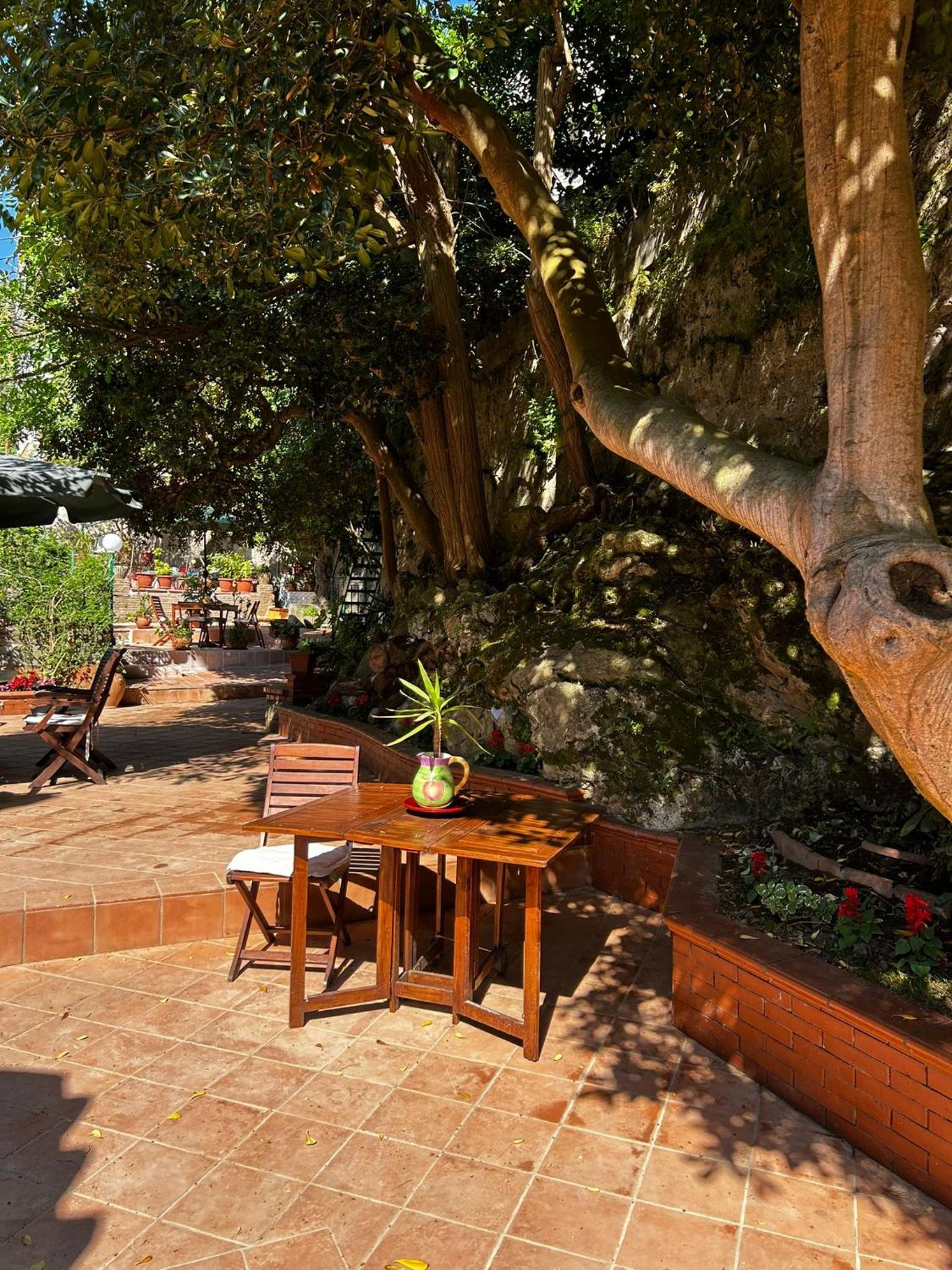 the secret garden photo 5